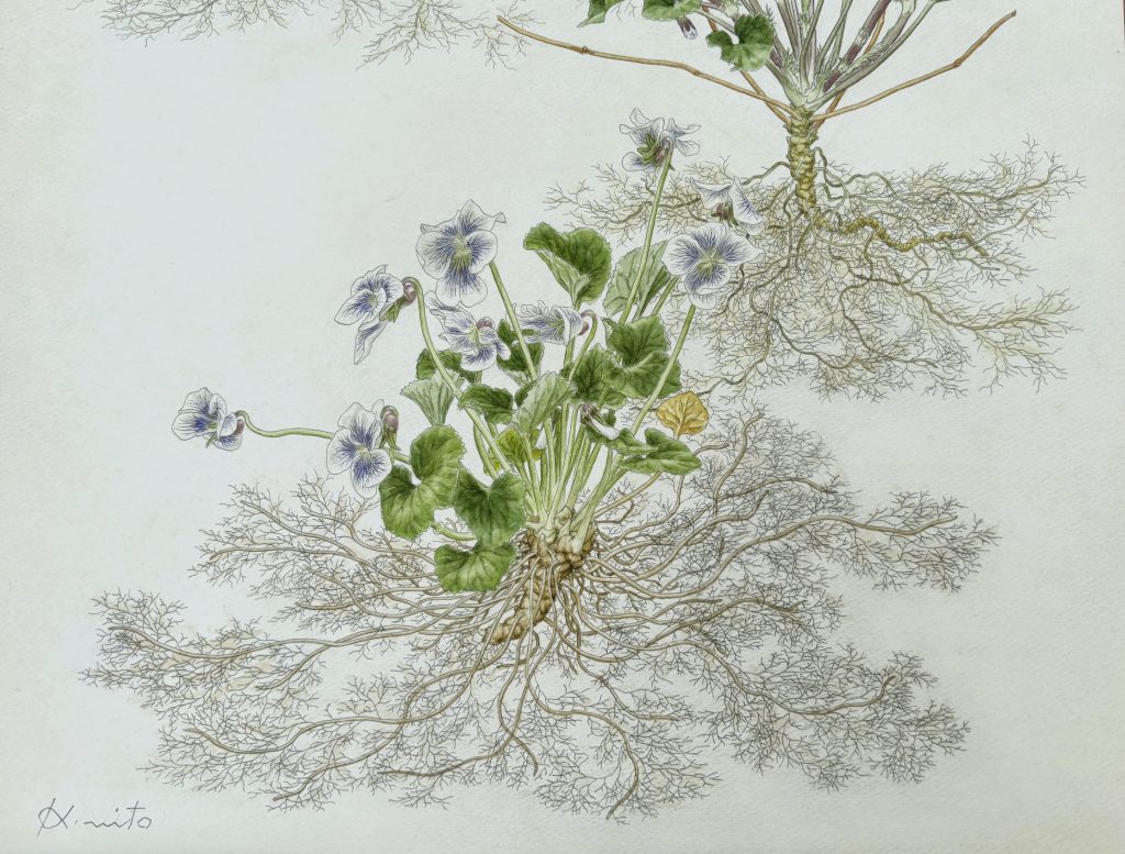 【観覧無料】ボタニカルアート＆水彩画展