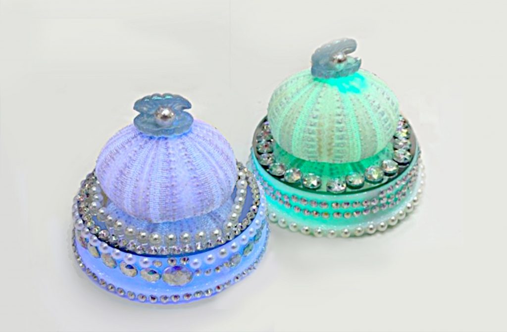 ☆【ワークショップ】7色に光る天然ウニランプづくり